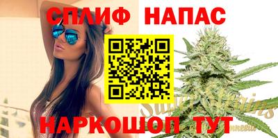 сатива Гагарин