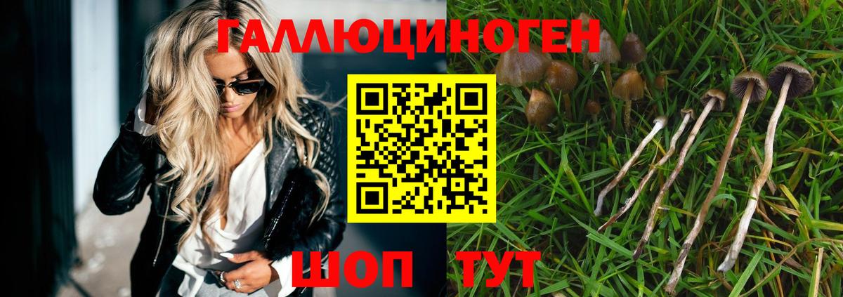 Воткинск  Псилоцибиновые грибы ЛСД  где можно купить наркотик  Вход с VPN 